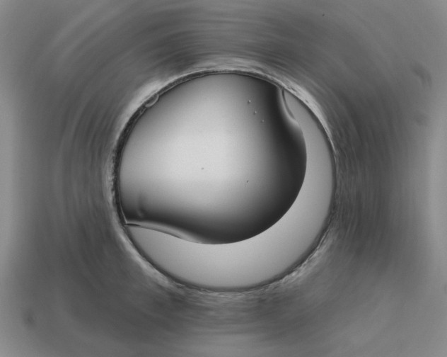 X0000114440997200911061700