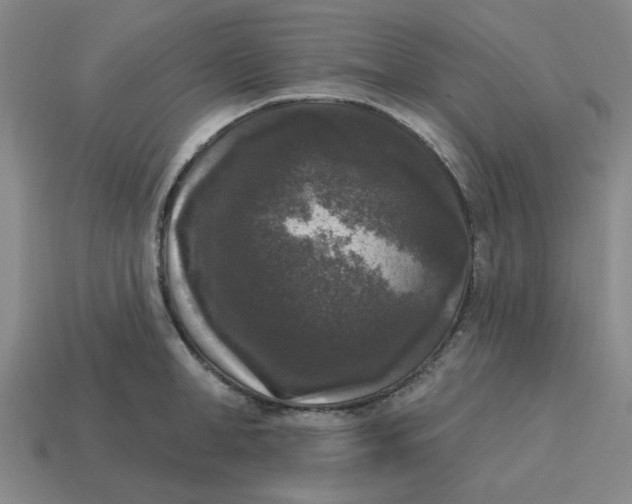 X0000114440998200911061659