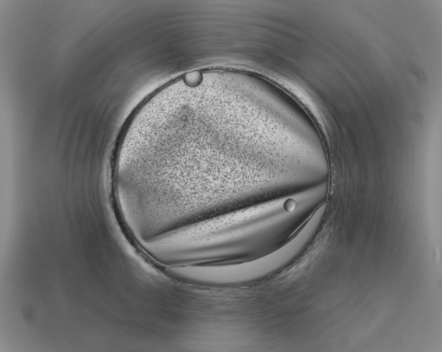 X0000114440999200911061659