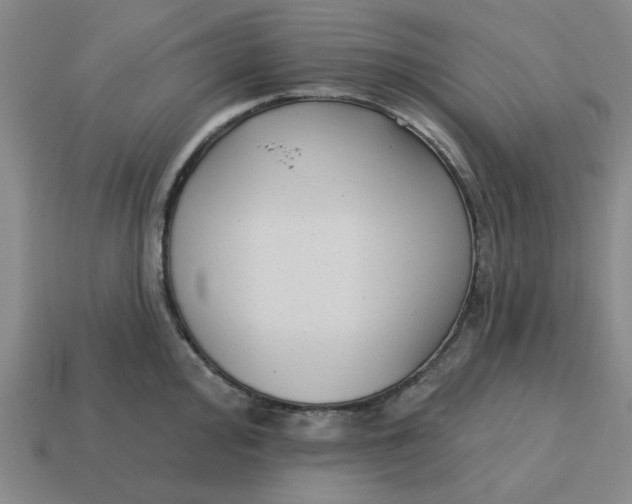 X0000114441000200911061659