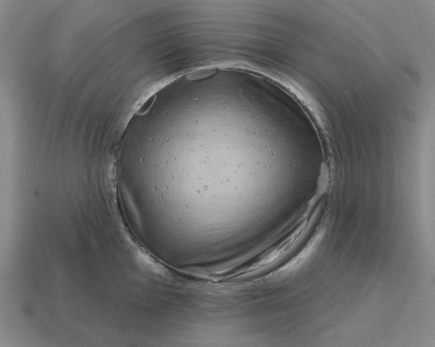 X0000114441001200911061659