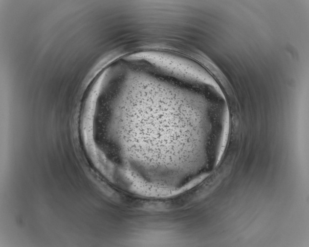 X0000114441002200911061659