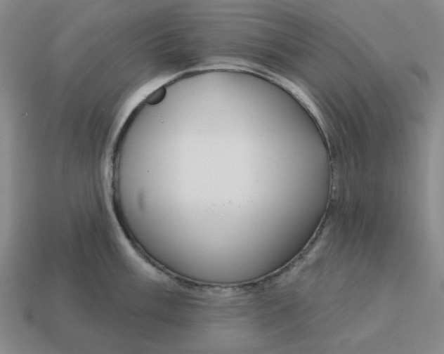 X0000114441003200911061659