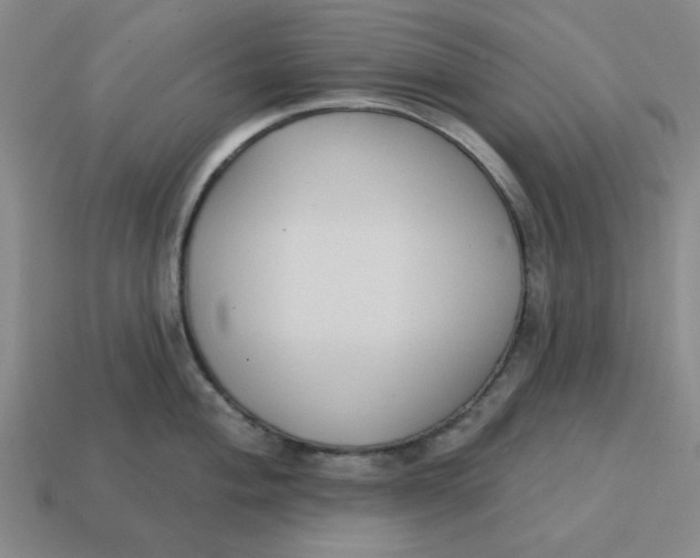 X0000114441004200911061659