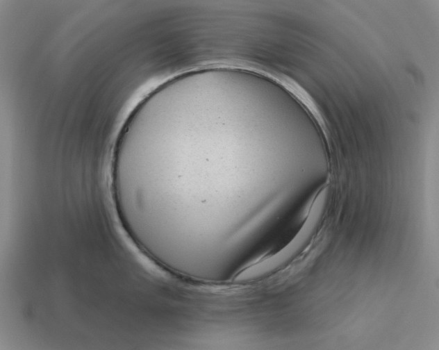 X0000114441005200911061659