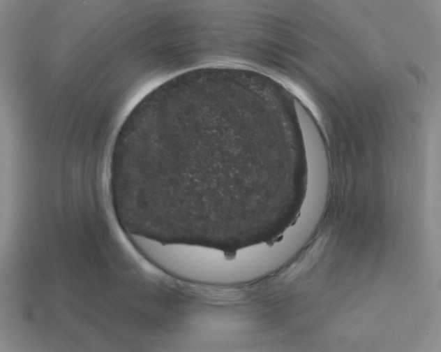 X0000114441007200911061659