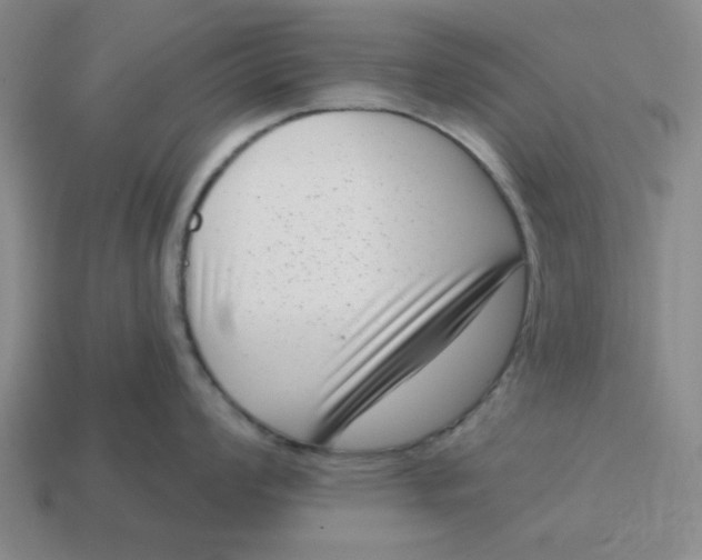 X0000114441008200911061659