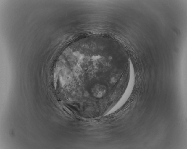 X0000114441009200911061659