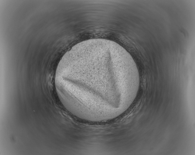 X0000114441010200911061659