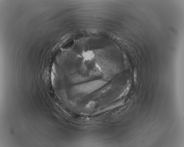 X0000114441011200911061659