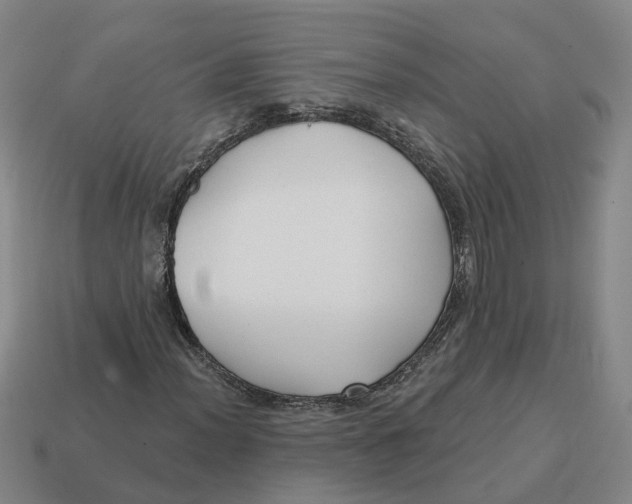 X0000114441012200911061659