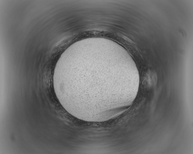 X0000114441014200911061659