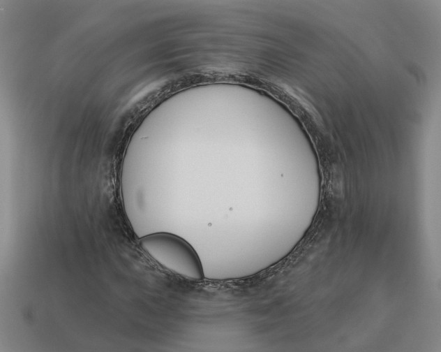 X0000114441015200911061659