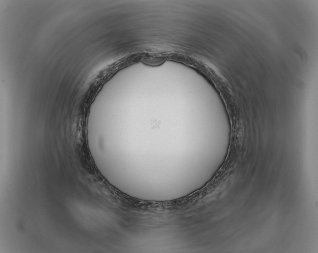 X0000114441016200911061659