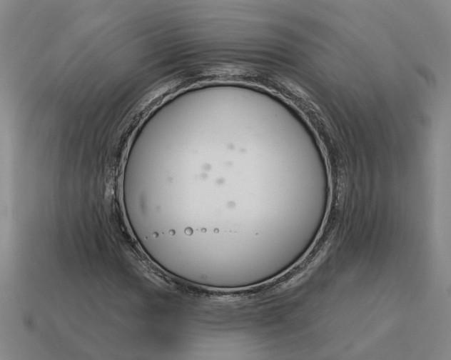 X0000114441017200911061659