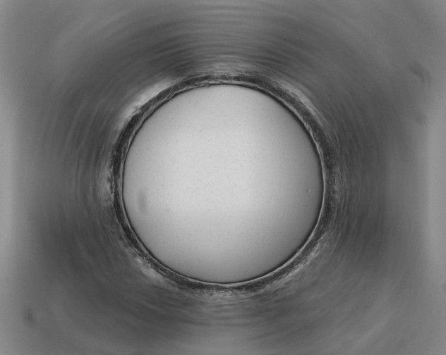 X0000114441018200911061659