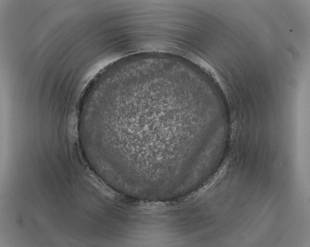 X0000114441019200911061659