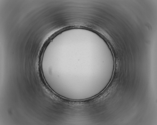 X0000114441020200911061659