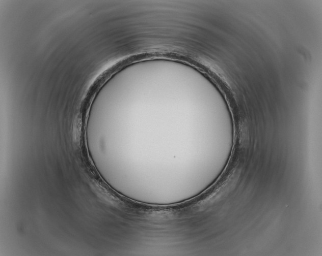 X0000114441021200911061659