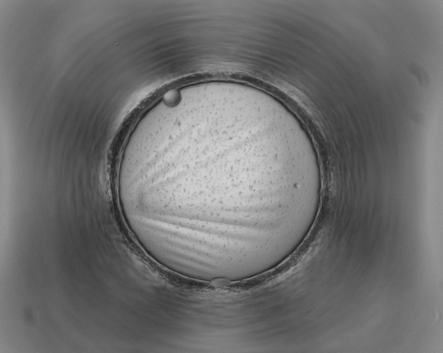 X0000114441022200911061659