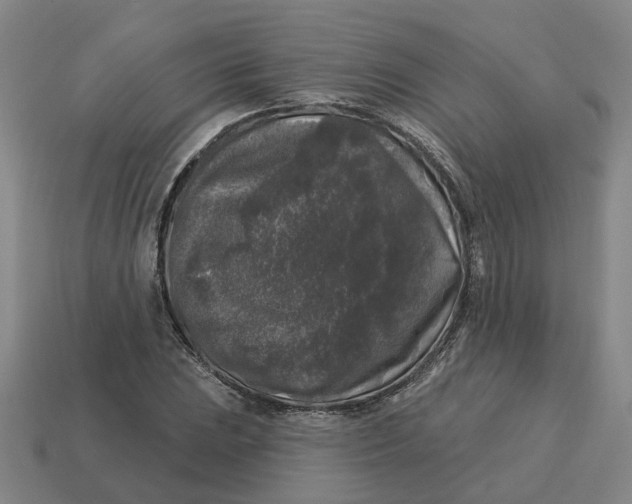 X0000114441023200911061659