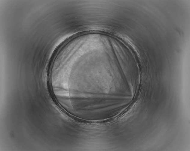 X0000114441024200911061659