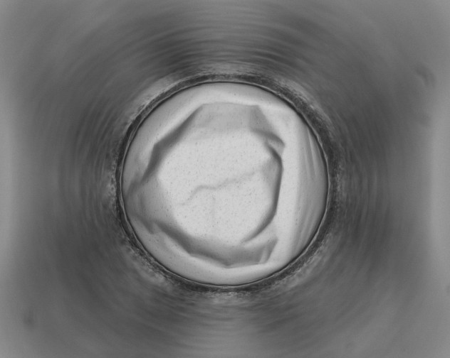 X0000114441025200911061659