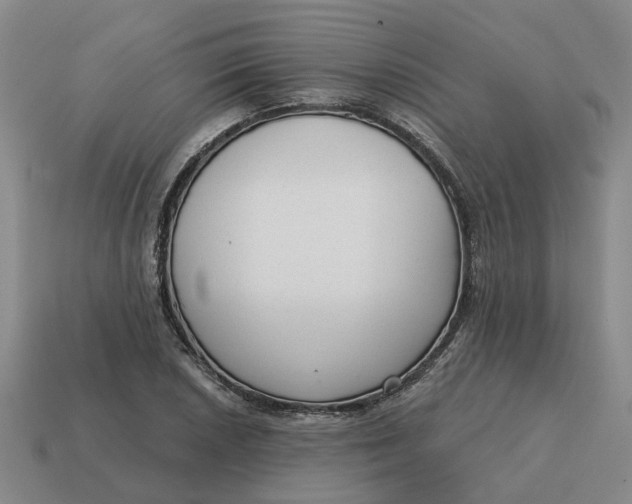 X0000114441026200911061659