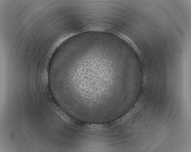 X0000114441027200911061659