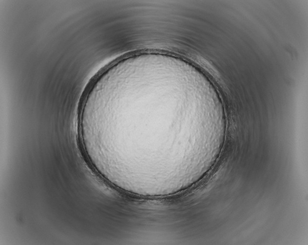 X0000114441028200911061659