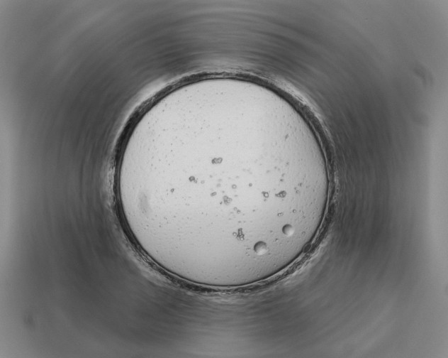 X0000114441029200911061659