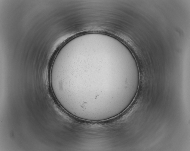 X0000114441030200911061659