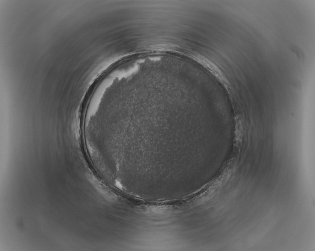 X0000114441031200911061659