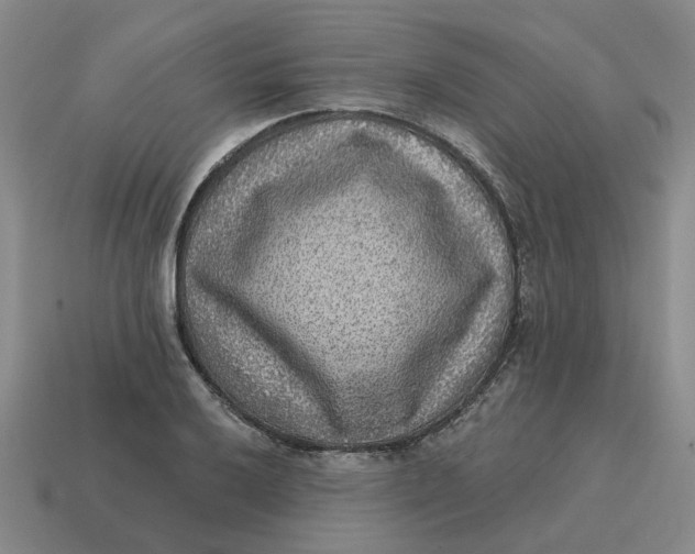 X0000114441032200911061659