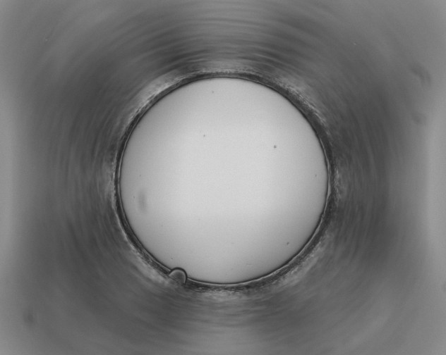 X0000114441033200911061659