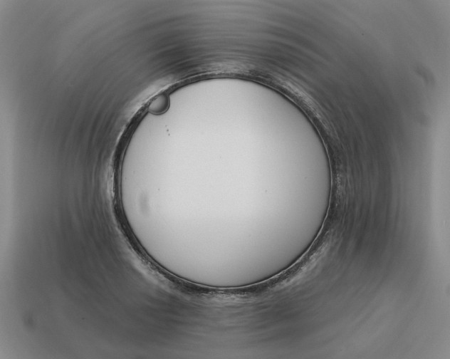 X0000114441034200911061659