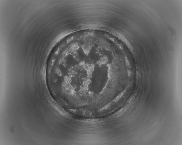 X0000114441035200911061659