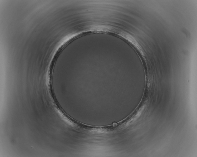 X0000114441037200911061659