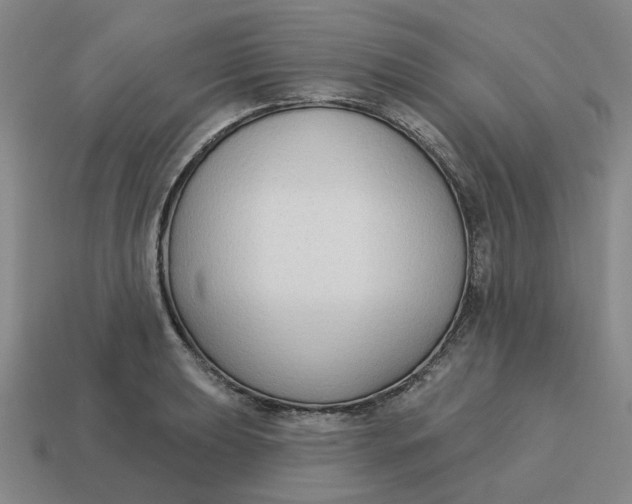 X0000114441039200911061659