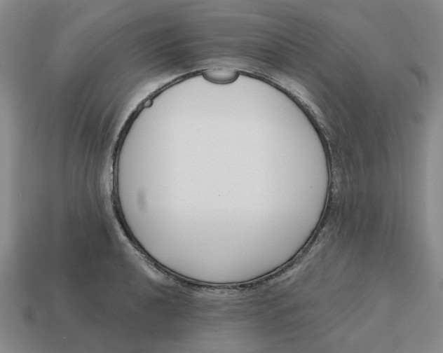 X0000114441040200911061659