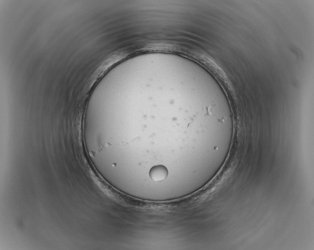 X0000114441041200911061659