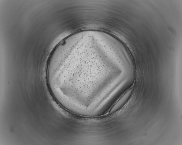 X0000114441042200911061659