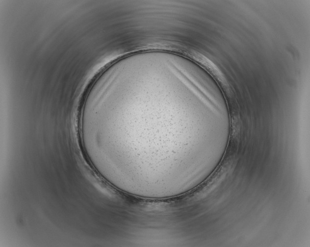 X0000114441043200911061659