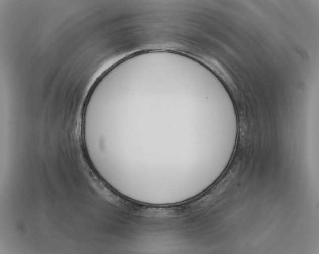 X0000114441044200911061659