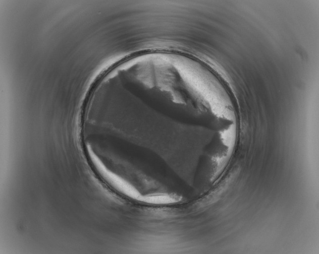 X0000114441045200911061659