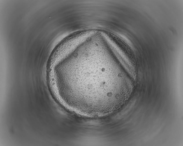 X0000114441047200911061659