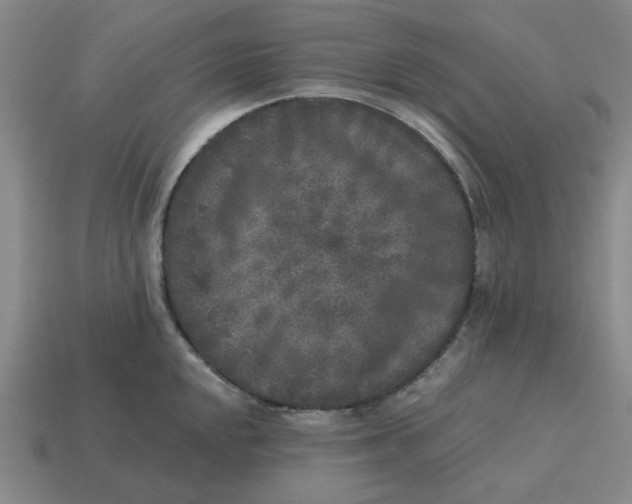 X0000114441048200911061659