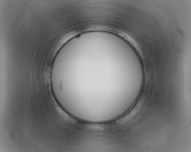 X0000114441049200911061659