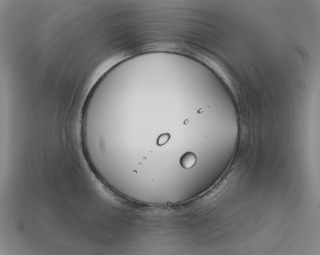 X0000114441050200911061659