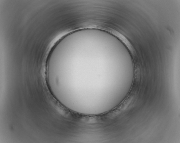 X0000114441051200911061659